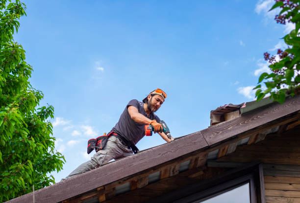 Best Roof Moss and Algae Removal  in Northlakes, NC